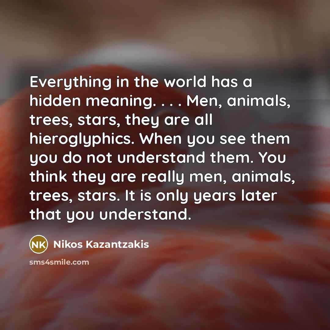 “Everything in the world has a hidden meaning. . . . Men, animals, trees, stars, they are all hieroglyphics. When you see them you do not understand them. You think they are really men, animals, trees, stars. It is only years later that you understand.” quote by Nikos Kazantzakis