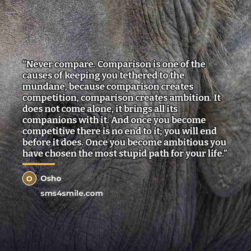 “Never compare. Comparison is one of the causes of keeping you tethered to the mundane, because comparison creates competition, comparison creates ambition. It does not come alone, it brings all its companions with it. And once you become competitive there is no end to it; you will end before it…” quote by Osho