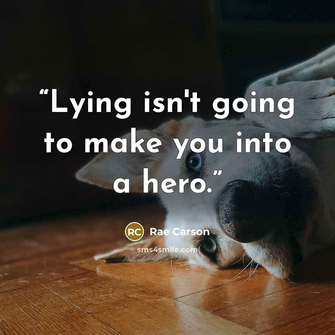 “Lying isn't going to make you into a hero.” quote by Rae Carson