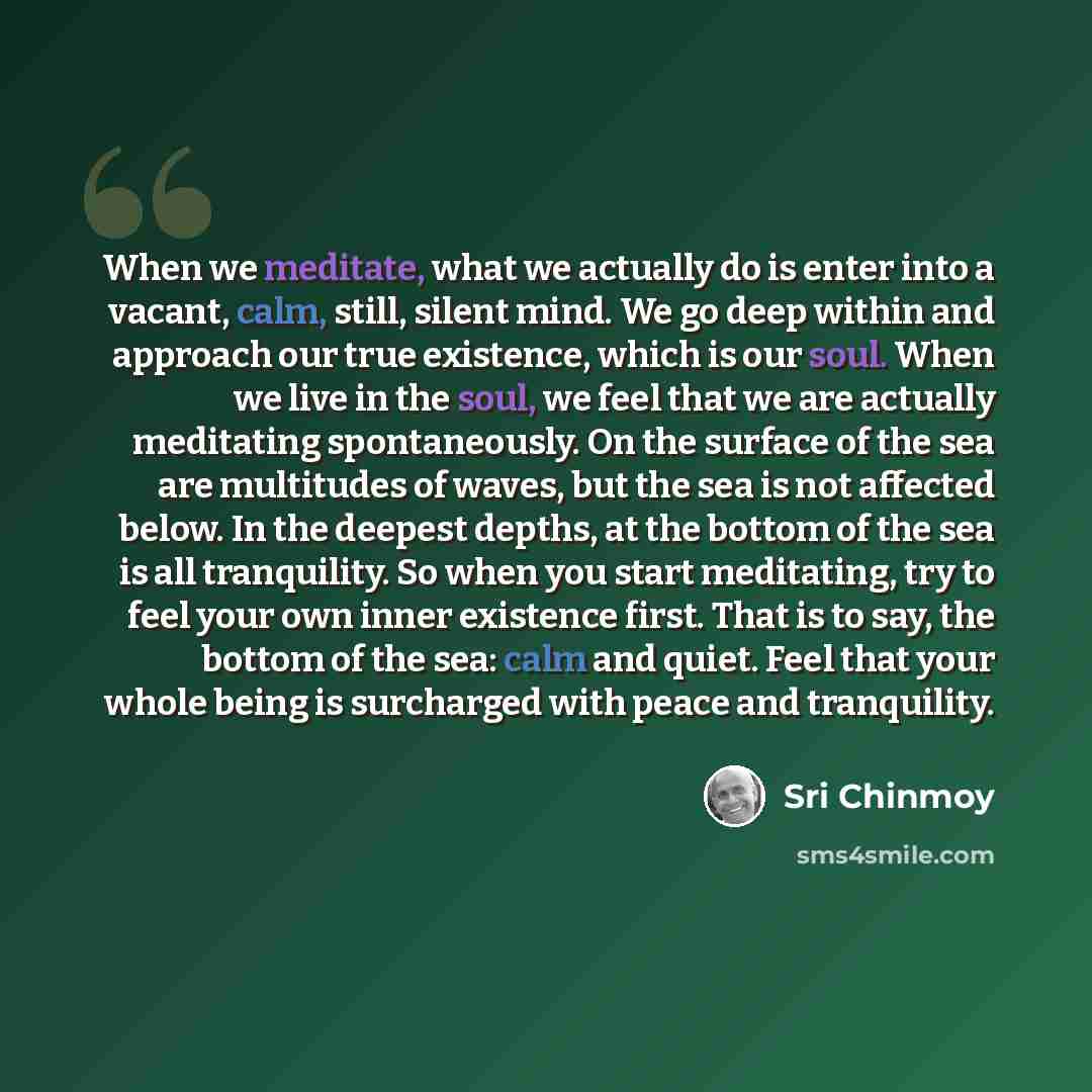 “When we meditate, what we actually do is enter into a vacant, calm, still, silent mind. We go deep within and approach our true existence, which is our soul. When we live in the soul, we feel that we are actually meditating spontaneously. On the surface of the sea are multitudes of waves, but the…” quote by Sri Chinmoy