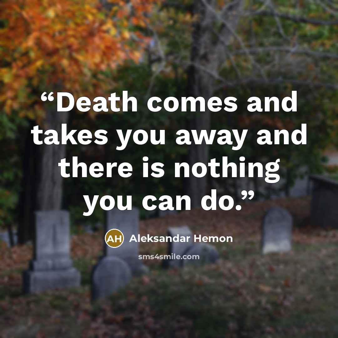 “Death comes and takes you away and there is nothing you can do.” quote by Aleksandar Hemon
