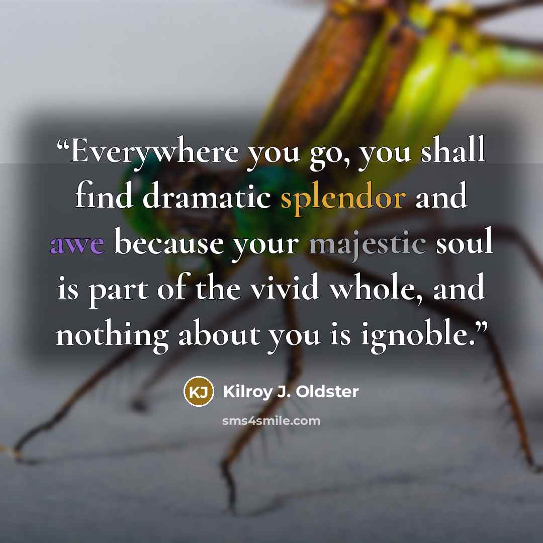 “Everywhere you go, you shall find dramatic splendor and awe because your majestic soul is part of the vivid whole, and nothing about you is ignoble.” quote by Kilroy J. Oldster