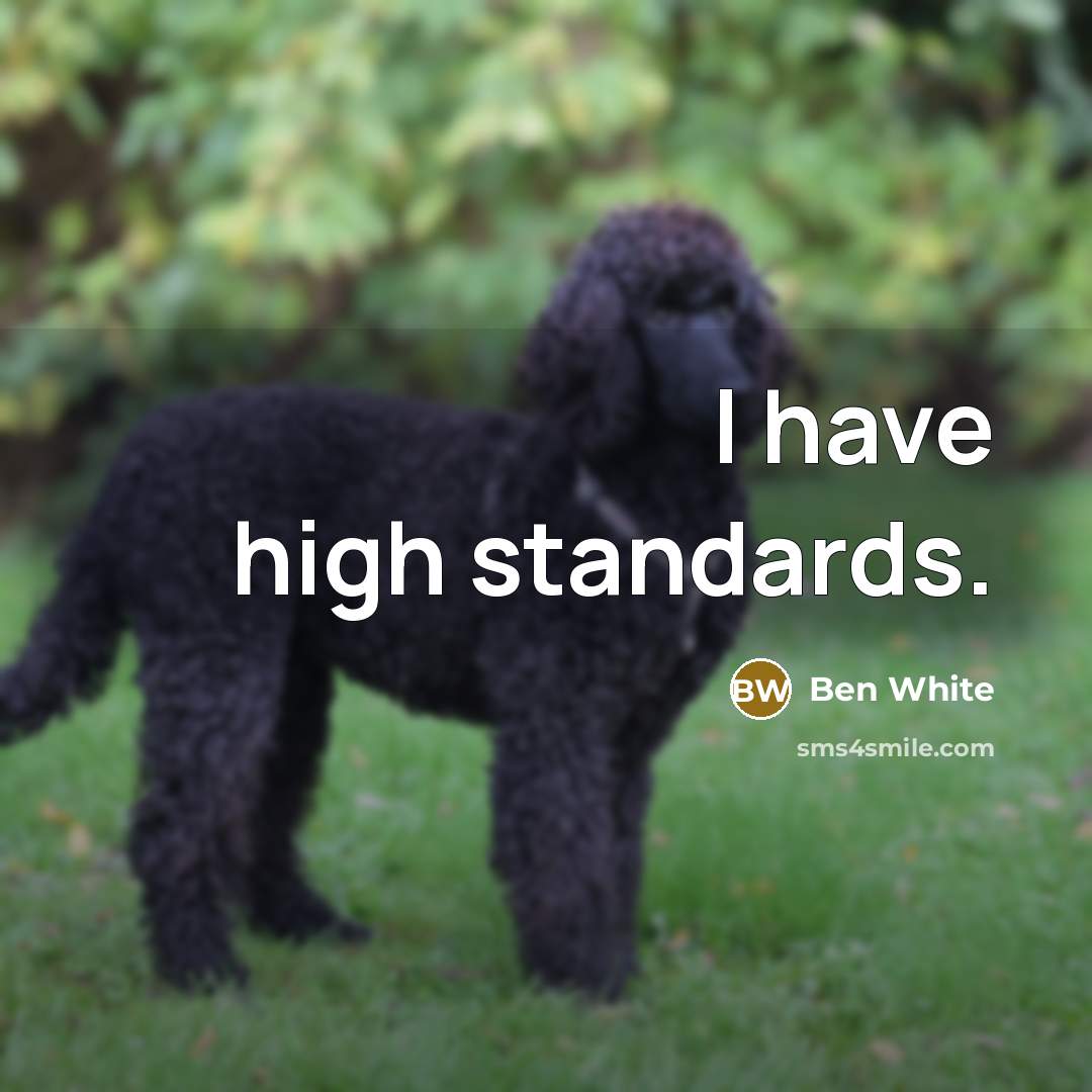 “I have high standards.” quote by Ben White