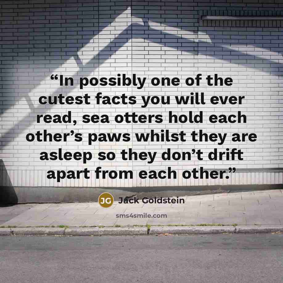 “In possibly one of the cutest facts you will ever read, sea otters hold each other’s paws whilst they are asleep so they don’t drift apart from each other.” quote by Jack Goldstein