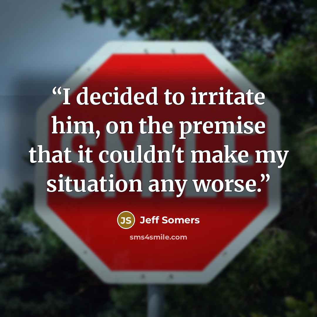 “I decided to irritate him, on the premise that it couldn't make my situation any worse.” quote by Jeff Somers