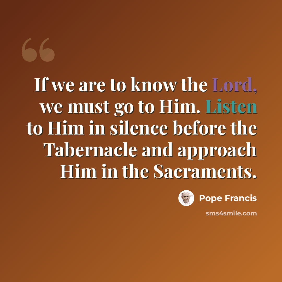 “If we are to know the Lord, we must go to Him. Listen to Him in silence before the Tabernacle and approach Him in the Sacraments.” quote by Pope Francis