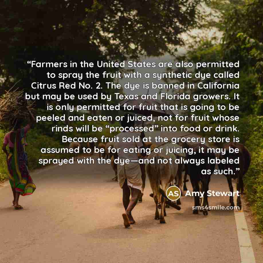 “Farmers in the United States are also permitted to spray the fruit with a synthetic dye called Citrus Red No. 2. The dye is banned in California but may be used by Texas and Florida growers. It is only permitted for fruit that is going to be peeled and eaten or juiced, not for fruit whose rinds…” quote by Amy Stewart