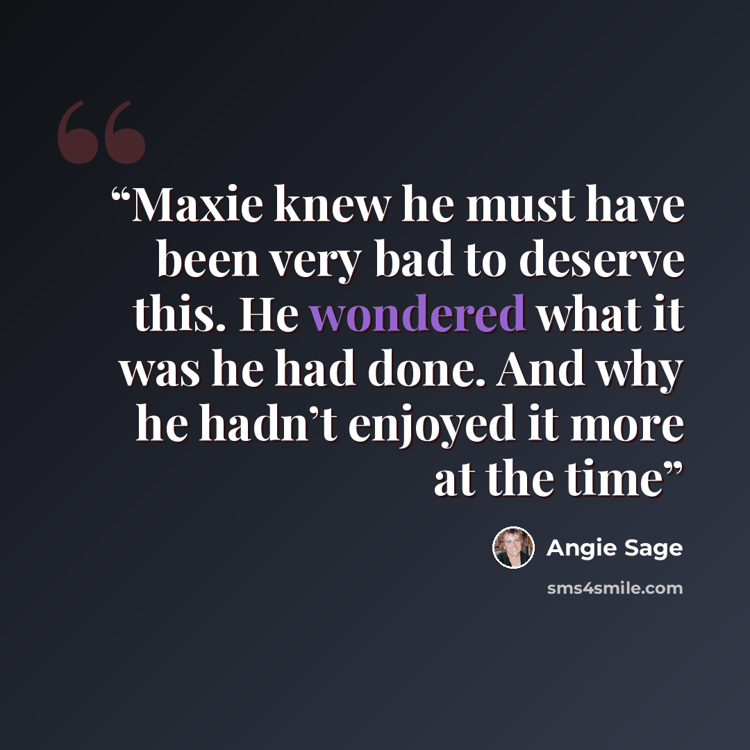 “Maxie knew he must have been very bad to deserve this. He wondered what it was he had done. And why he hadn’t enjoyed it more at the time” quote by Angie Sage
