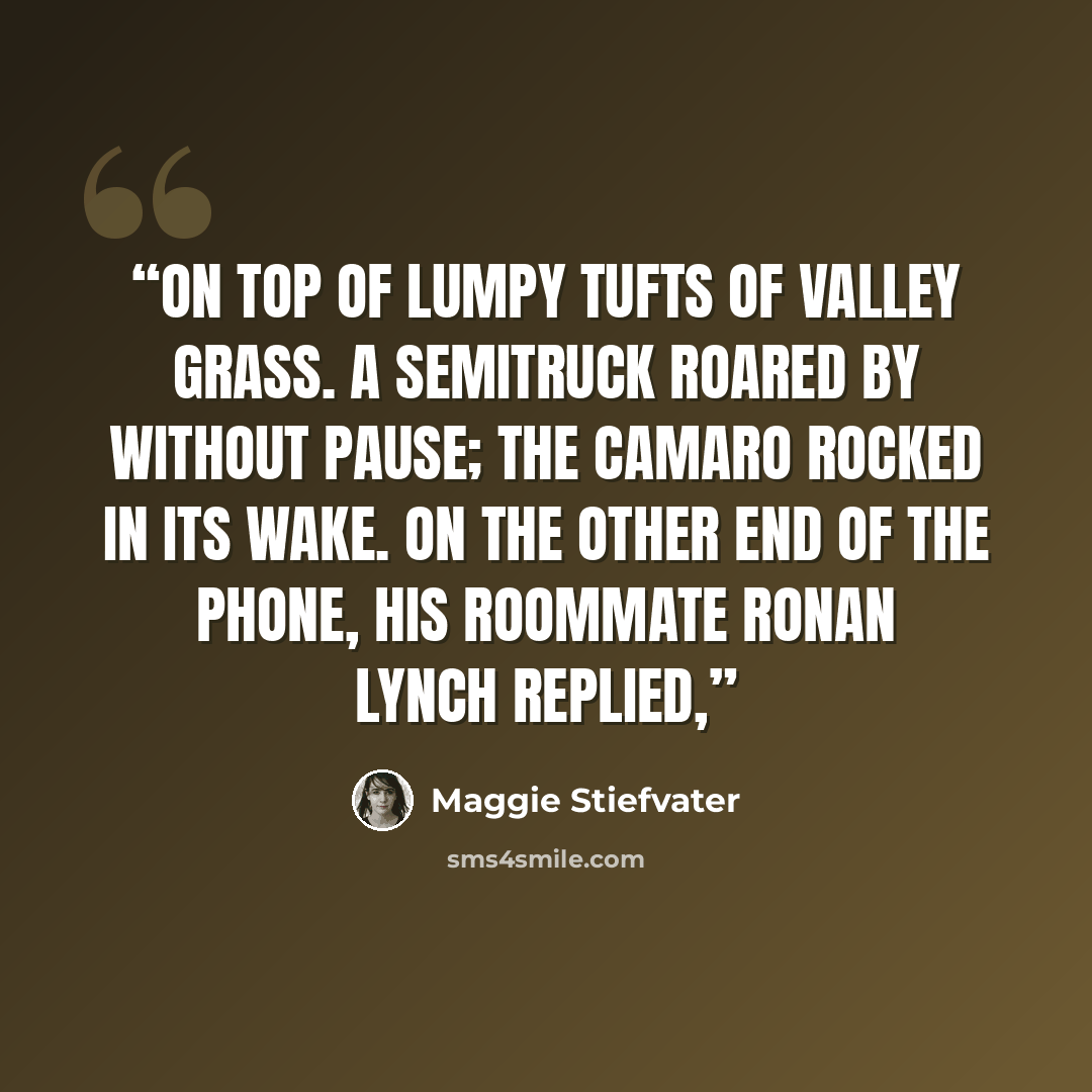 “on top of lumpy tufts of valley grass. A semitruck roared by without pause; the Camaro rocked in its wake. On the other end of the phone, his roommate Ronan Lynch replied,” quote by Maggie Stiefvater