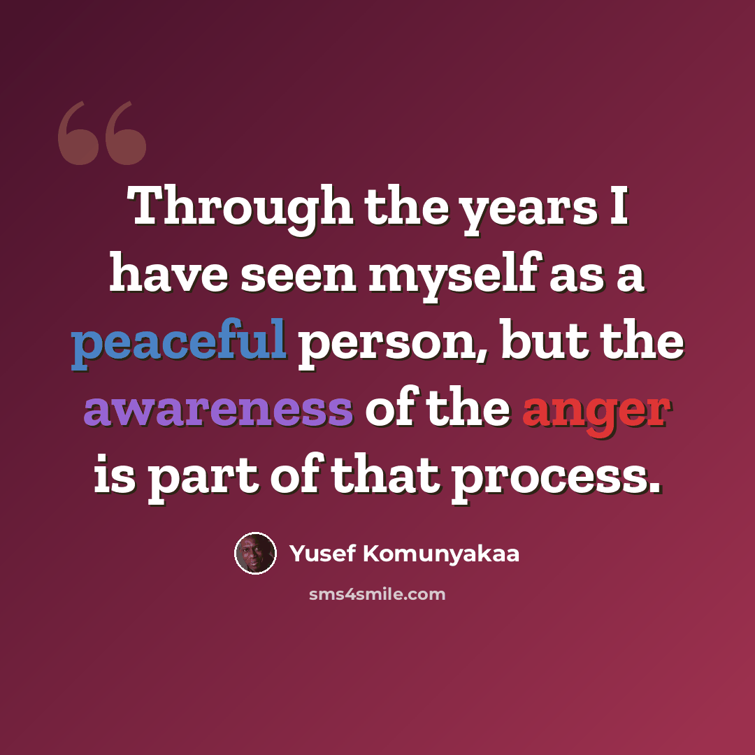 “Through the years I have seen myself as a peaceful person, but the awareness of the anger is part of that process.” quote by Yusef Komunyakaa