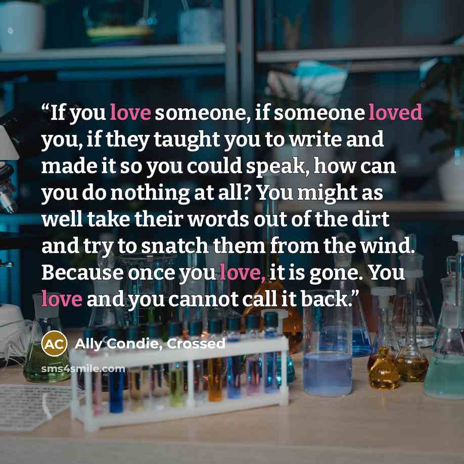 “If you love someone, if someone loved you, if they taught you to write and made it so you could speak, how can you do nothing at all? You might as well take their words out of the dirt and try to snatch them from the wind. Because once you love, it is gone. You love and you cannot call it back.” quote by Ally Condie, Crossed