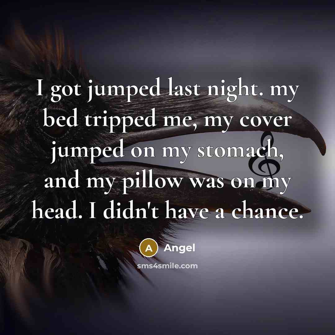 “I got jumped last night. my bed tripped me, my cover jumped on my stomach, and my pillow was on my head. I didn't have a chance.” quote by Angel
