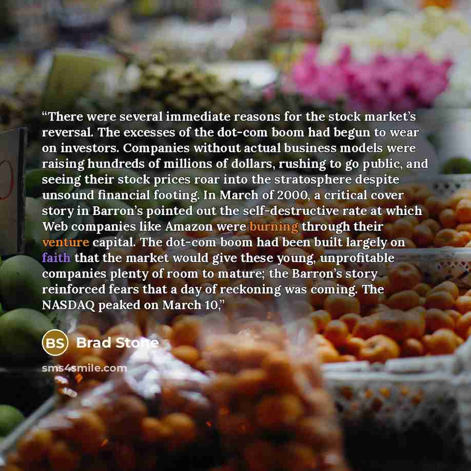 “There were several immediate reasons for the stock market’s reversal. The excesses of the dot-com boom had begun to wear on investors. Companies without actual business models were raising hundreds of millions of dollars, rushing to go public, and seeing their stock prices roar into the…” quote by Brad Stone