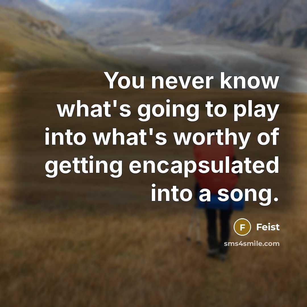 “You never know what's going to play into what's worthy of getting encapsulated into a song.” quote by Feist