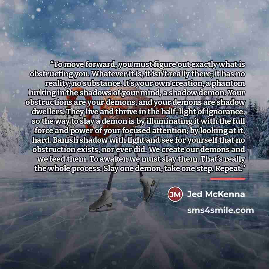 “To move forward, you must figure out exactly what is obstructing you. Whatever it is, it isn’t really there; it has no reality, no substance. It’s your own creation, a phantom lurking in the shadows of your mind, a shadow demon. Your obstructions are your demons, and your demons are shadow…” quote by Jed McKenna
