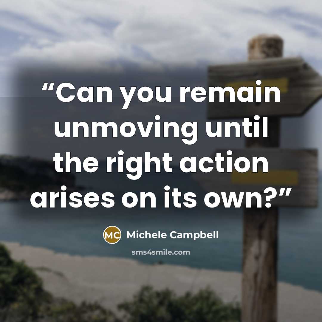 “Can you remain unmoving until the right action arises on its own?” quote by Michele Campbell