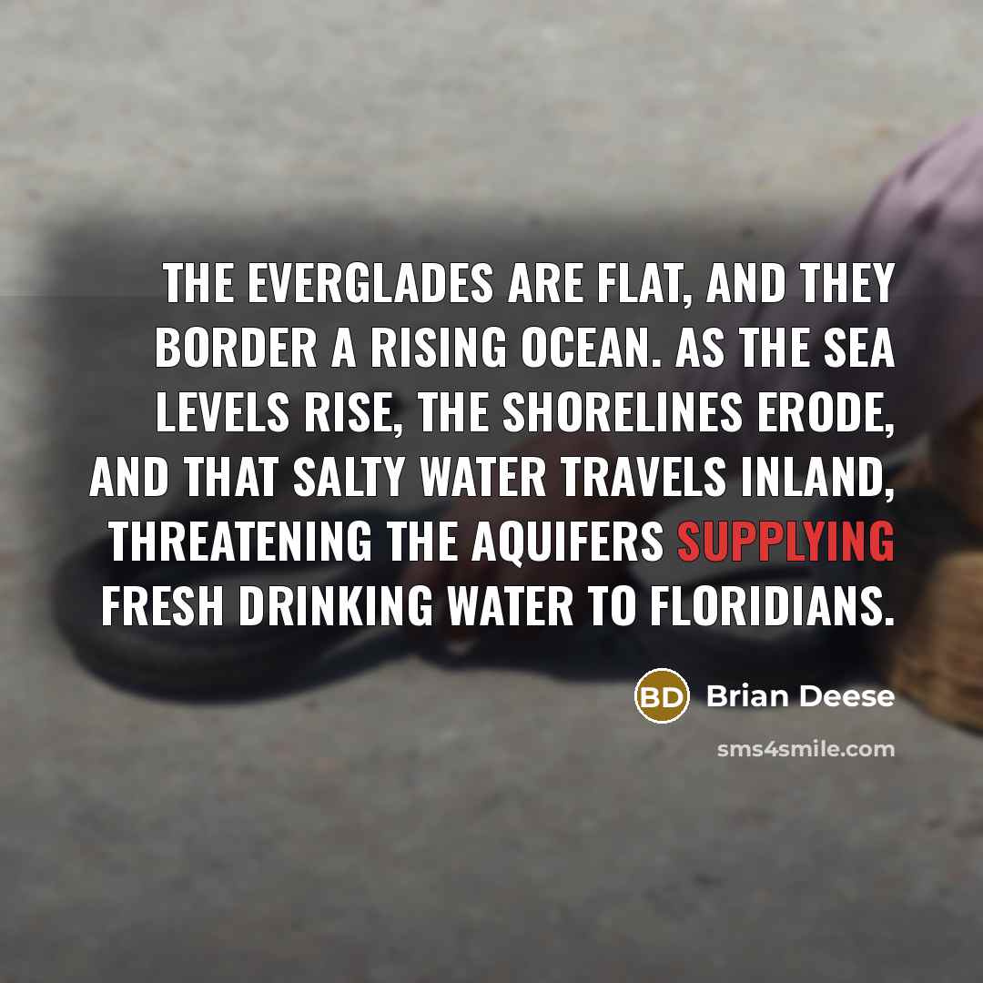 “The Everglades are flat, and they border a rising ocean. As the sea levels rise, the shorelines erode, and that salty water travels inland, threatening the aquifers supplying fresh drinking water to Floridians.” quote by Brian Deese
