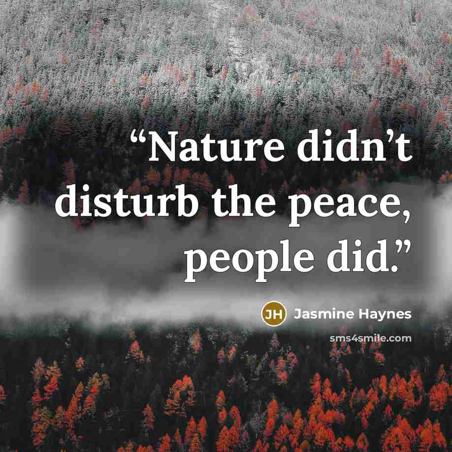 “Nature didn’t disturb the peace, people did.” quote by Jasmine Haynes