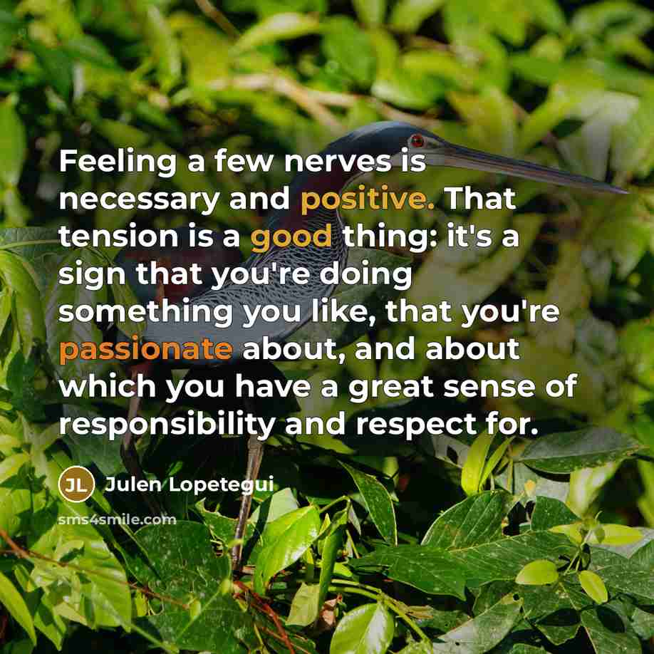 “Feeling a few nerves is necessary and positive. That tension is a good thing: it's a sign that you're doing something you like, that you're passionate about, and about which you have a great sense of responsibility and respect for.” quote by Julen Lopetegui