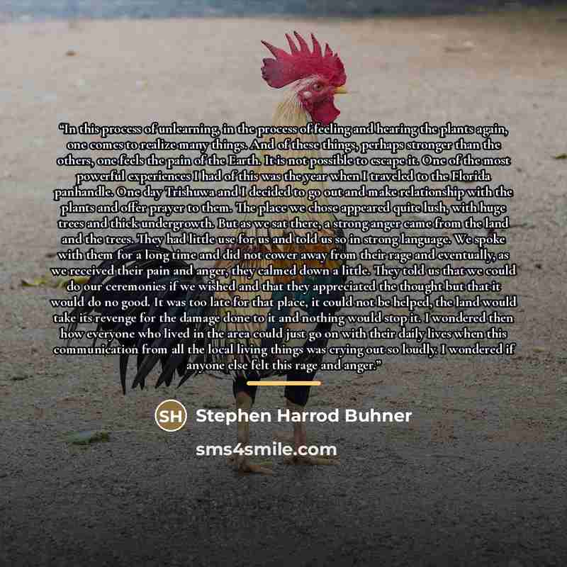 “In this process of unlearning, in the process of feeling and hearing the plants again, one comes to realize many things. And of these things, perhaps stronger than the others, one feels the pain of the Earth. It is not possible to escape it. One of the most powerful experiences I had of this was…” quote by Stephen Harrod Buhner