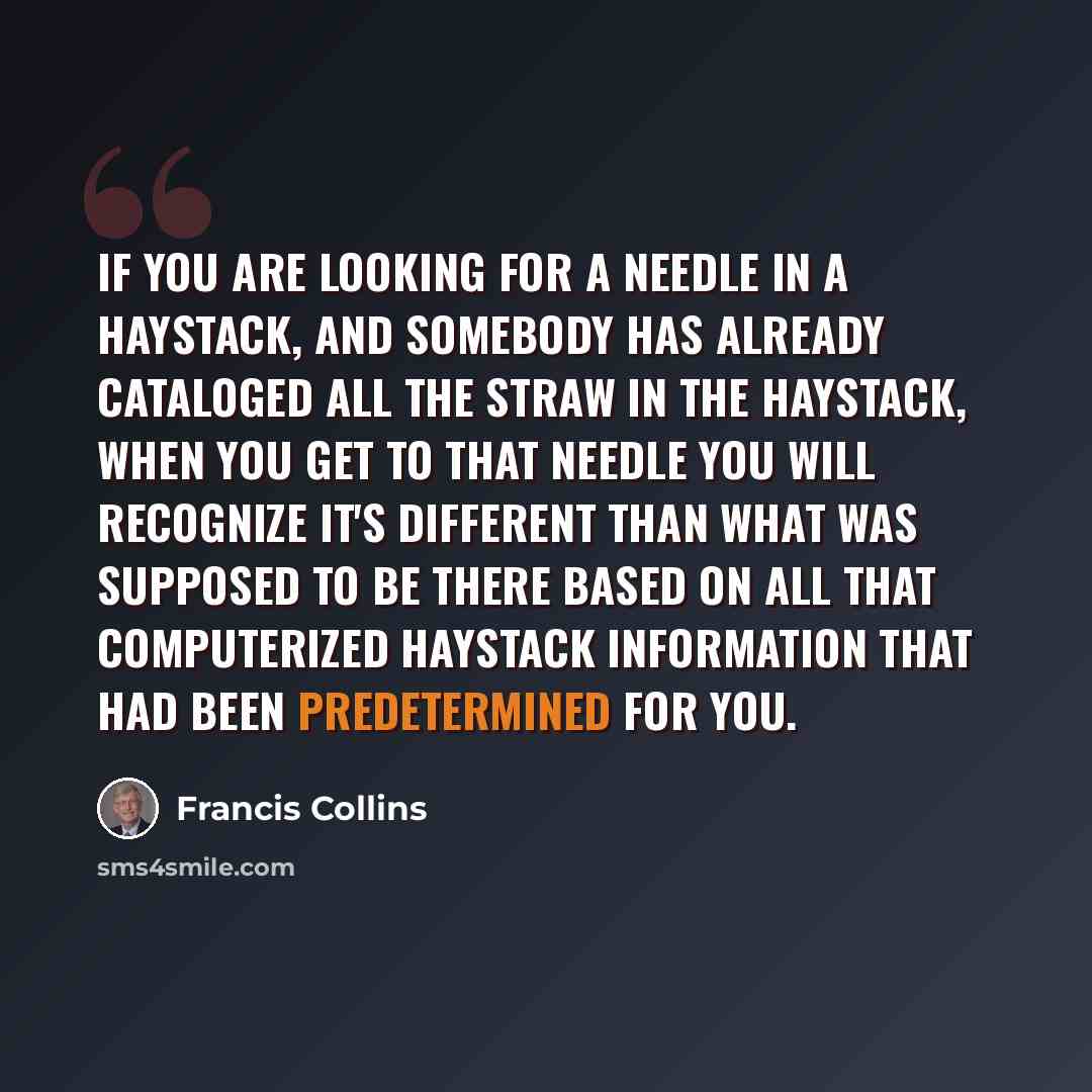 “If you are looking for a needle in a haystack, and somebody has already cataloged all the straw in the haystack, when you get to that needle you will recognize it's different than what was supposed to be there based on all that computerized haystack information that had been predetermined for you.” quote by Francis Collins