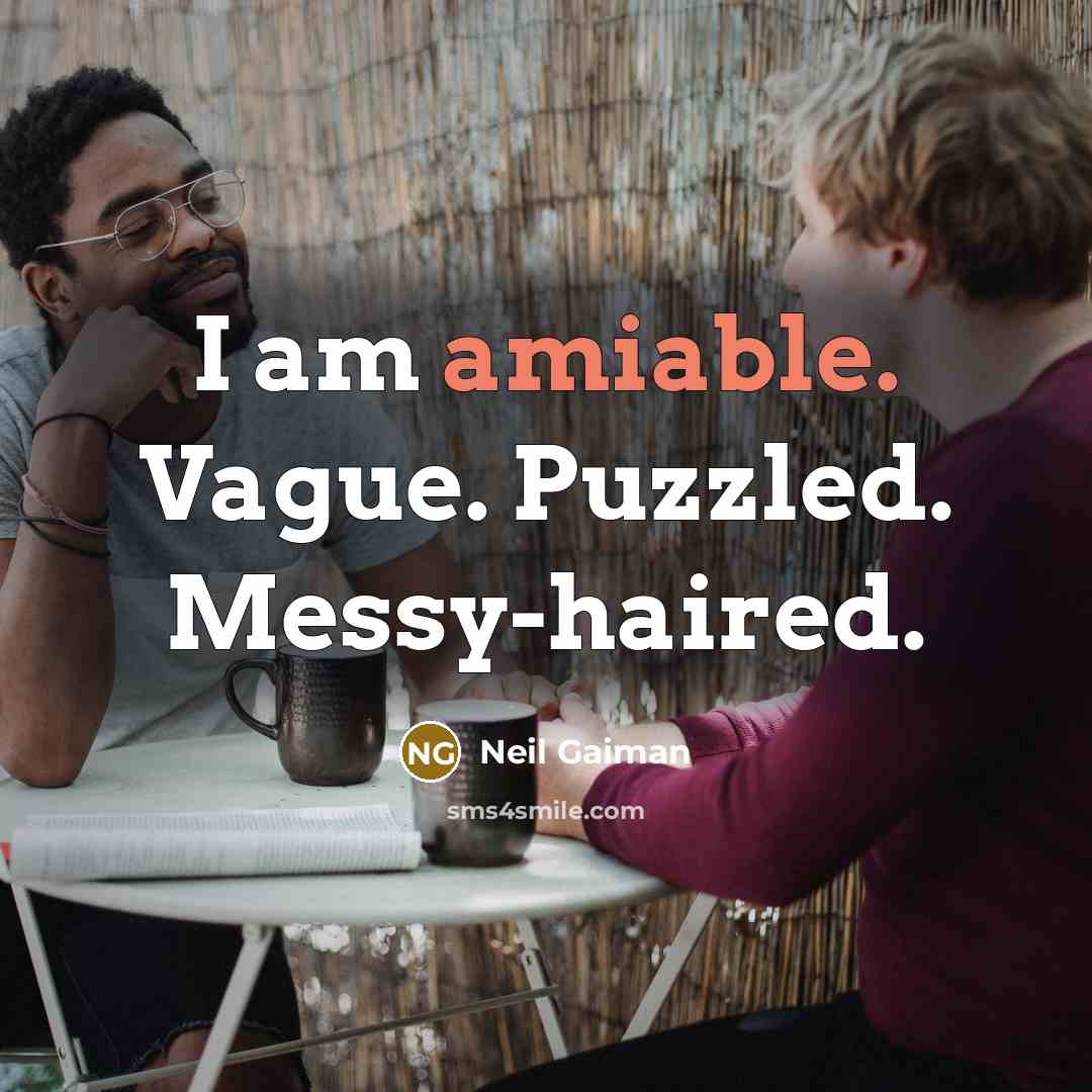 “I am amiable. Vague. Puzzled. Messy-haired.” quote by Neil Gaiman