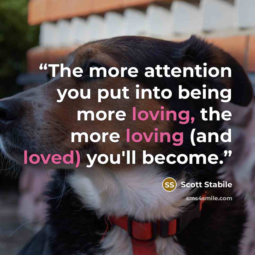 “The more attention you put into being more loving, the more loving (and loved) you'll become.” quote by Scott Stabile