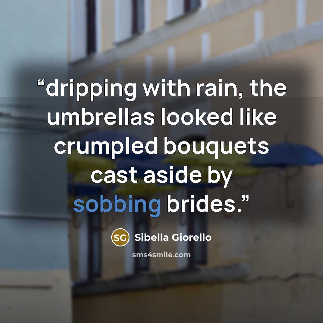 “dripping with rain, the umbrellas looked like crumpled bouquets cast aside by sobbing brides.” quote by Sibella Giorello