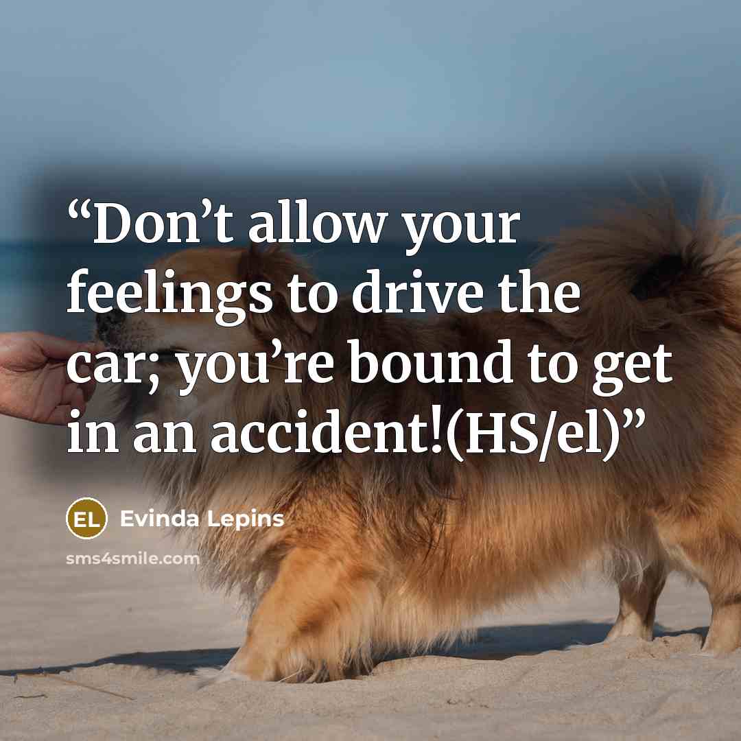 “Don’t allow your feelings to drive the car; you’re bound to get in an accident!(HS/el)” quote by Evinda Lepins