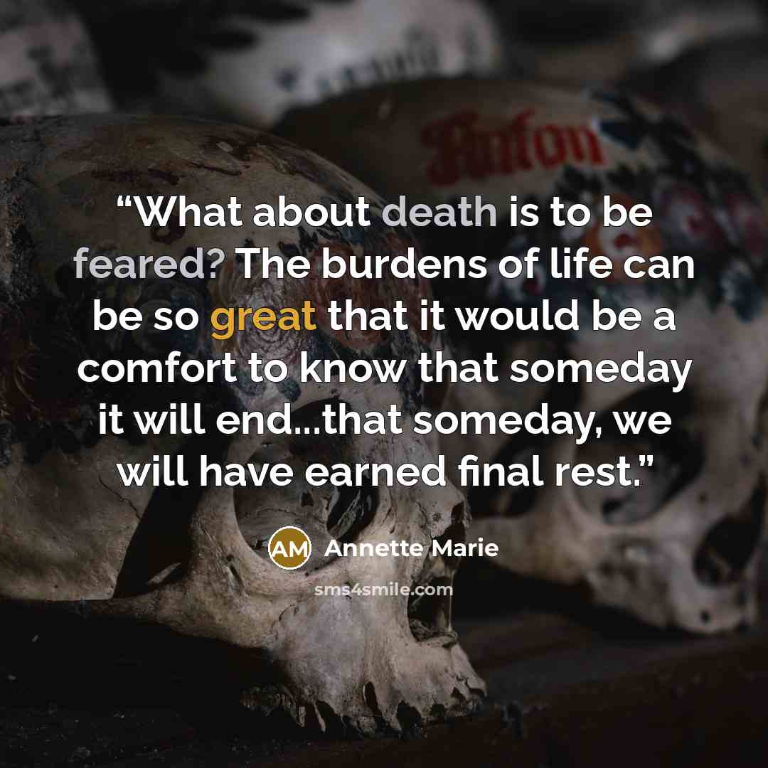 “What about death is to be feared? The burdens of life can be so great that it would be a comfort to know that someday it will end...that someday, we will have earned final rest.” quote by Annette Marie