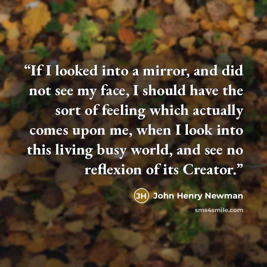 “If I looked into a mirror, and did not see my face, I should have the sort of feeling which actually comes upon me, when I look into this living busy world, and see no reflexion of its Creator.” quote by John Henry Newman