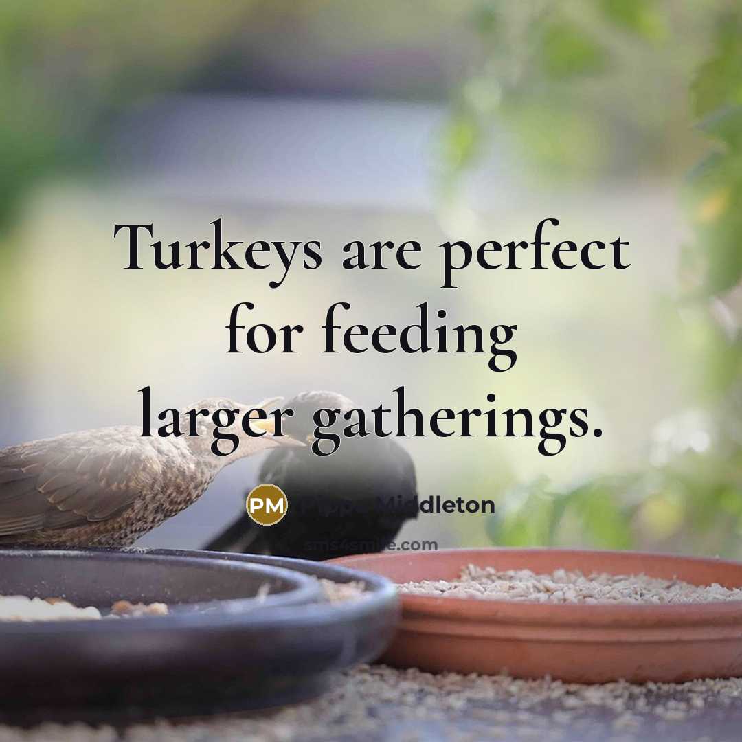 “Turkeys are perfect for feeding larger gatherings.” quote by Pippa Middleton