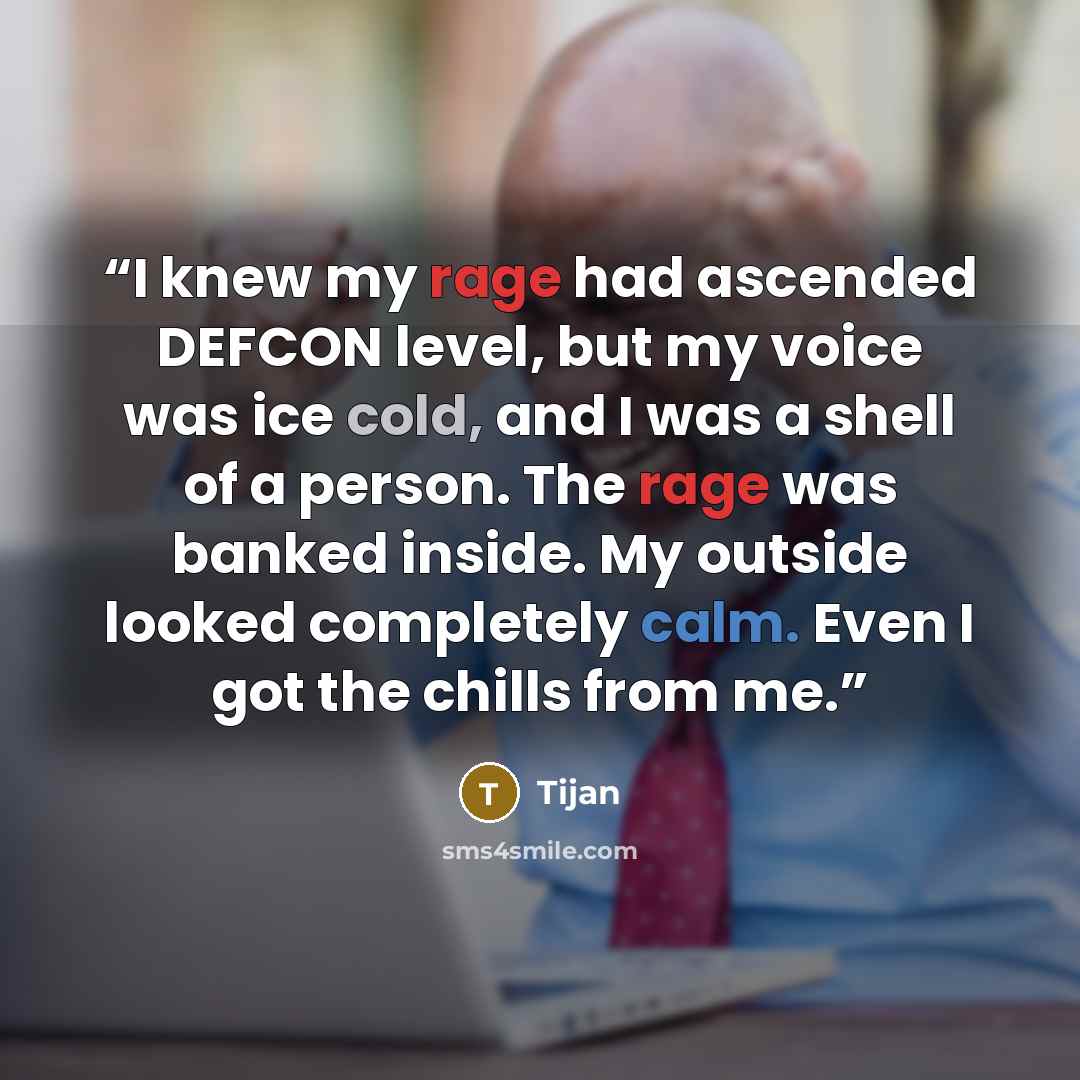 “I knew my rage had ascended DEFCON level, but my voice was ice cold, and I was a shell of a person. The rage was banked inside. My outside looked completely calm. Even I got the chills from me.” quote by Tijan
