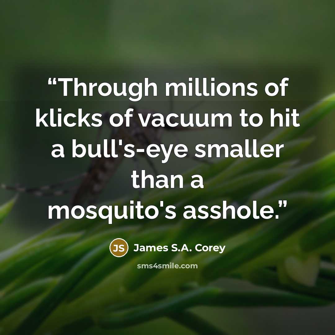 “Through millions of klicks of vacuum to hit a bull's-eye smaller than a mosquito's asshole.” quote by James S.A. Corey