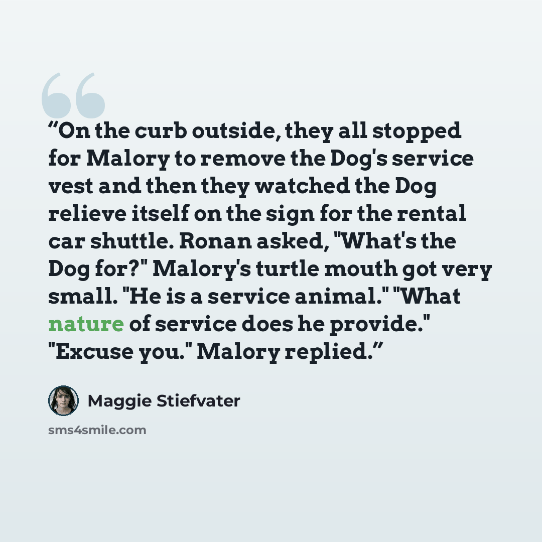 “On the curb outside, they all stopped for Malory to remove the Dog's service vest and then they watched the Dog relieve itself on the sign for the rental car shuttle. Ronan asked, "What's the Dog for?" Malory's turtle mouth got very small. "He is a service animal." "What nature of service does he…” quote by Maggie Stiefvater