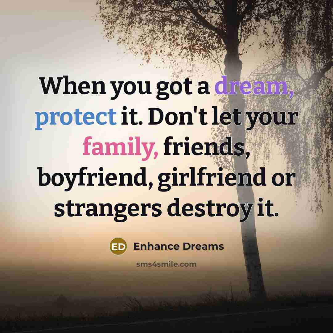 “When you got a dream, protect it. Don't let your family, friends, boyfriend, girlfriend or strangers destroy it.” quote by Enhance Dreams