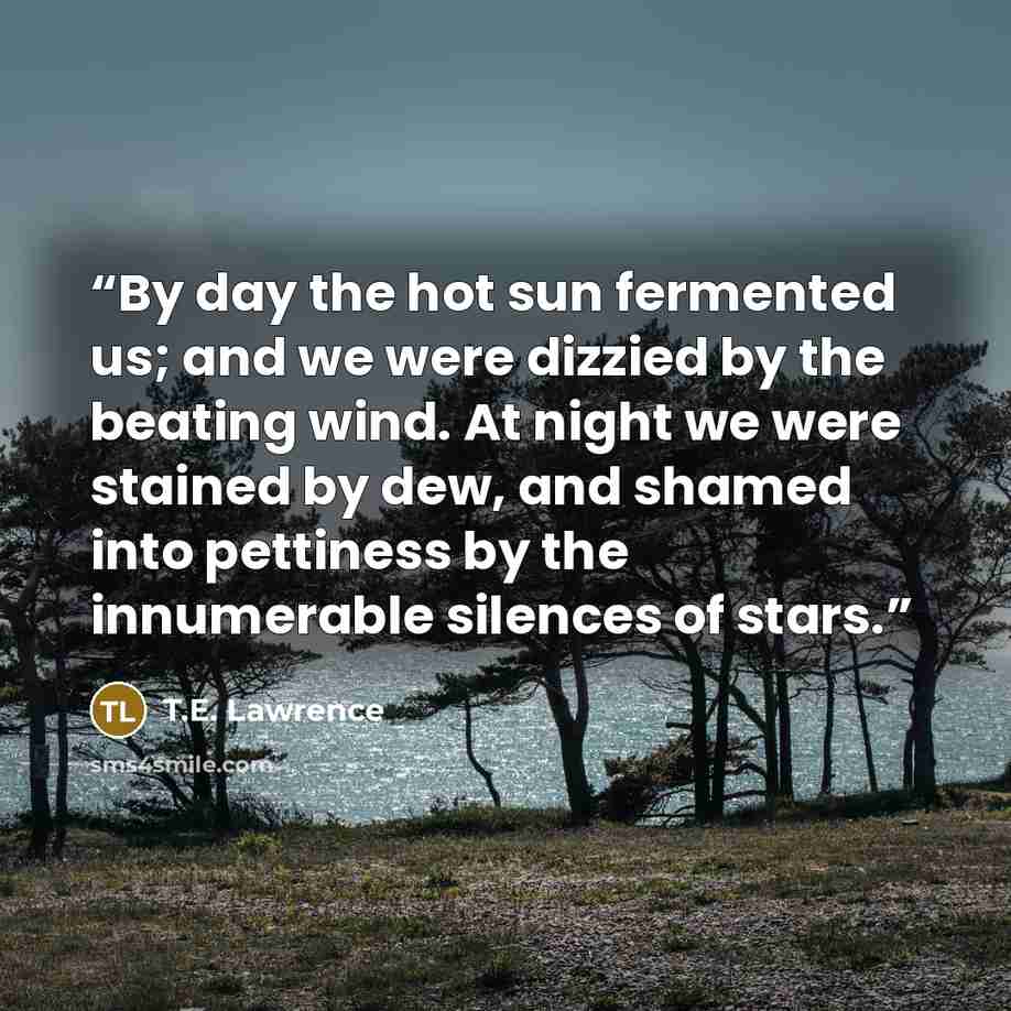 “By day the hot sun fermented us; and we were dizzied by the beating wind. At night we were stained by dew, and shamed into pettiness by the innumerable silences of stars.” quote by T.E. Lawrence