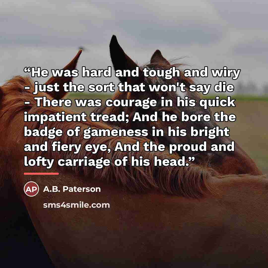“He was hard and tough and wiry - just the sort that won't say die - There was courage in his quick impatient tread; And he bore the badge of gameness in his bright and fiery eye, And the proud and lofty carriage of his head.” quote by A.B. Paterson