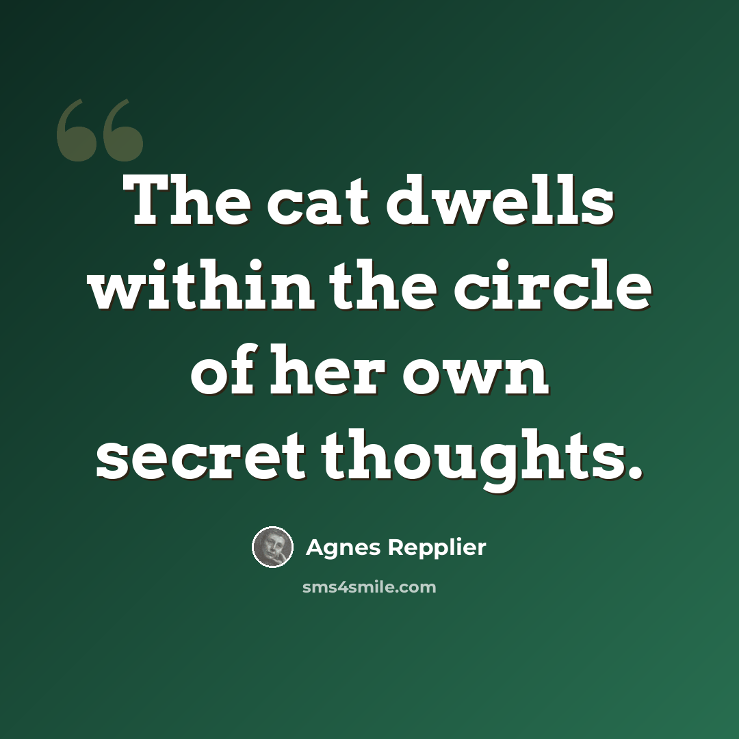 “The cat dwells within the circle of her own secret thoughts.” quote by Agnes Repplier