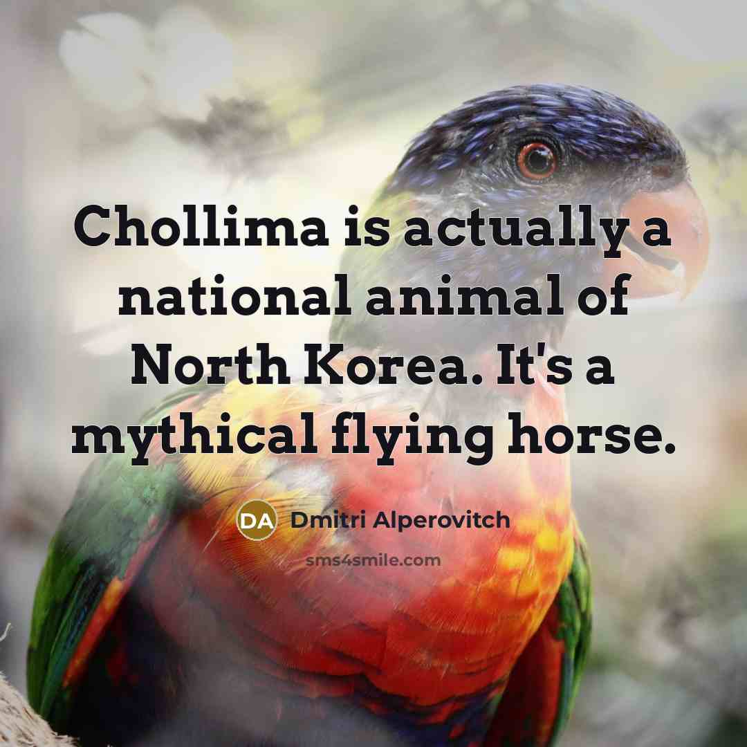 “Chollima is actually a national animal of North Korea. It's a mythical flying horse.” quote by Dmitri Alperovitch