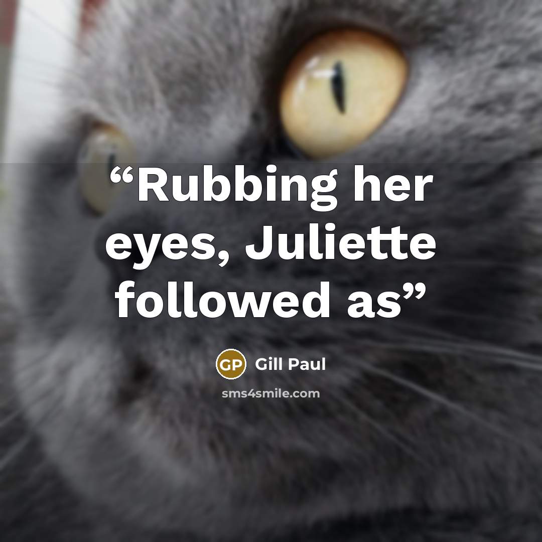 “Rubbing her eyes, Juliette followed as” quote by Gill Paul