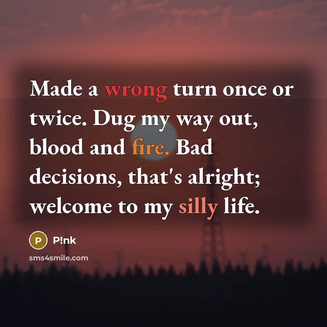 “Made a wrong turn once or twice. Dug my way out, blood and fire. Bad decisions, that's alright; welcome to my silly life.” quote by P!nk