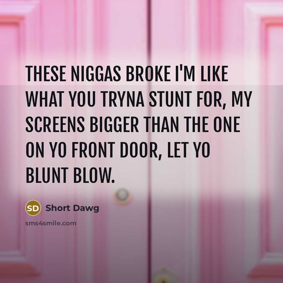 “These niggas broke I'm like what you tryna stunt for, My screens bigger than the one on yo front door, Let yo blunt blow.” quote by Short Dawg