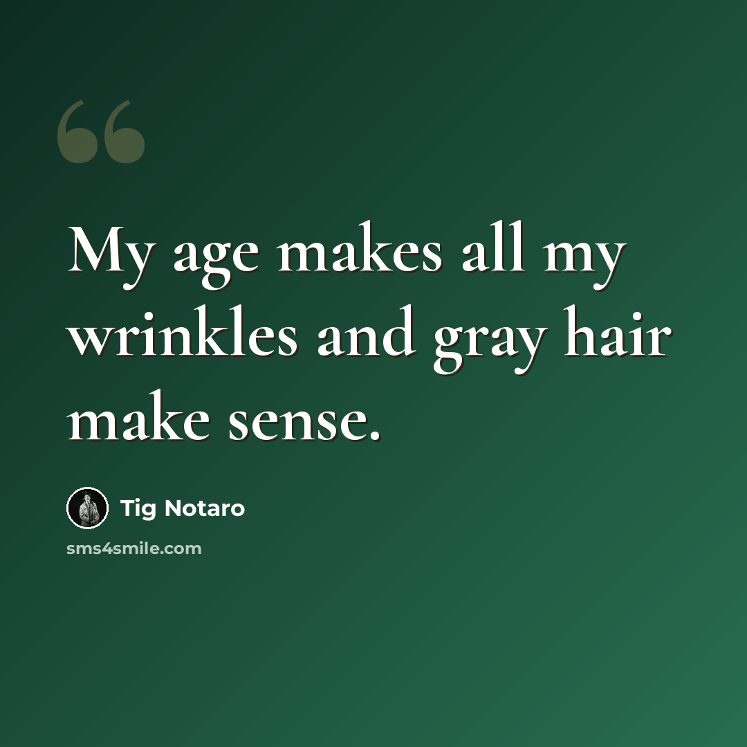 “My age makes all my wrinkles and gray hair make sense.” quote by Tig Notaro