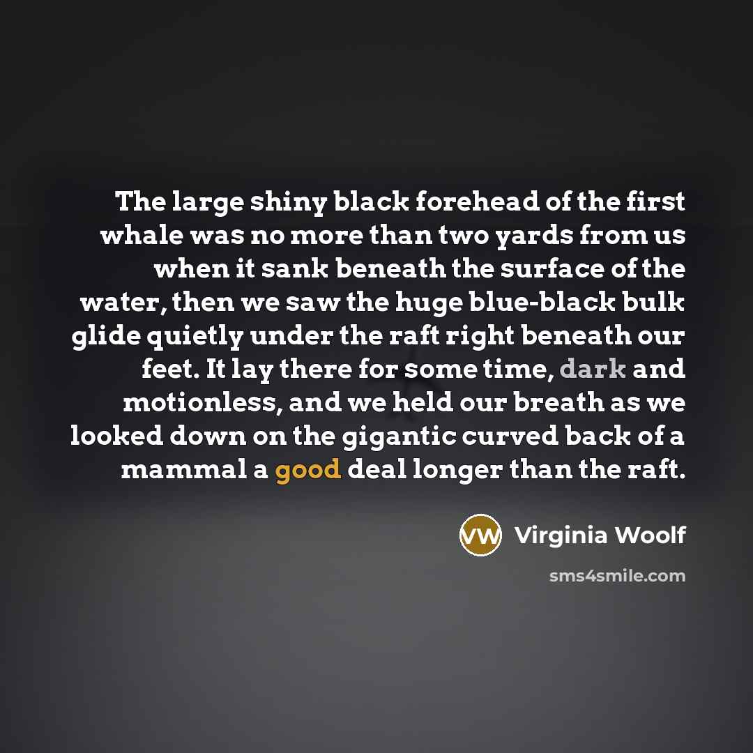 “The large shiny black forehead of the first whale was no more than two yards from us when it sank beneath the surface of the water, then we saw the huge blue-black bulk glide quietly under the raft right beneath our feet. It lay there for some time, dark and motionless, and we held our breath as…” quote by Virginia Woolf