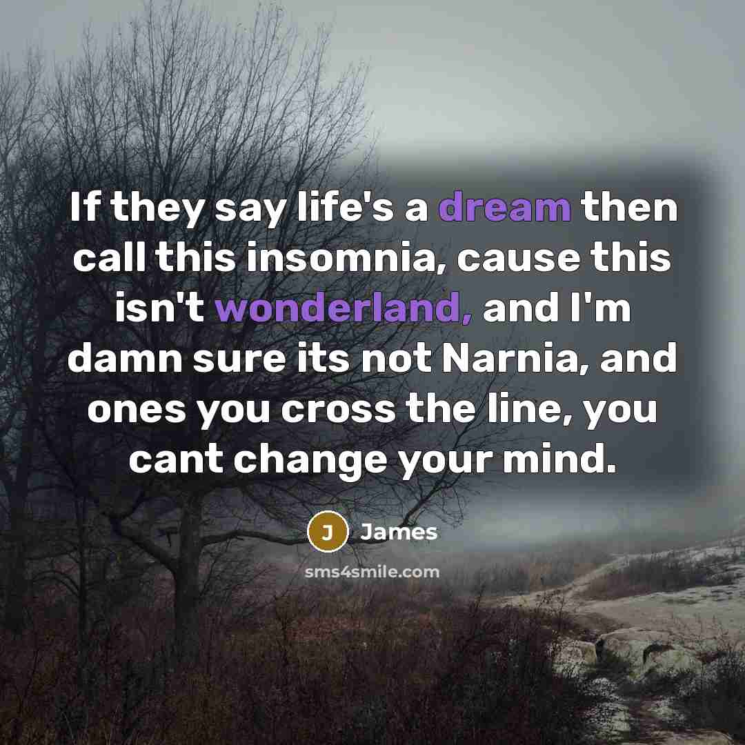“If they say life's a dream then call this insomnia, cause this isn't wonderland, and I'm damn sure its not Narnia, and ones you cross the line, you cant change your mind.” quote by James