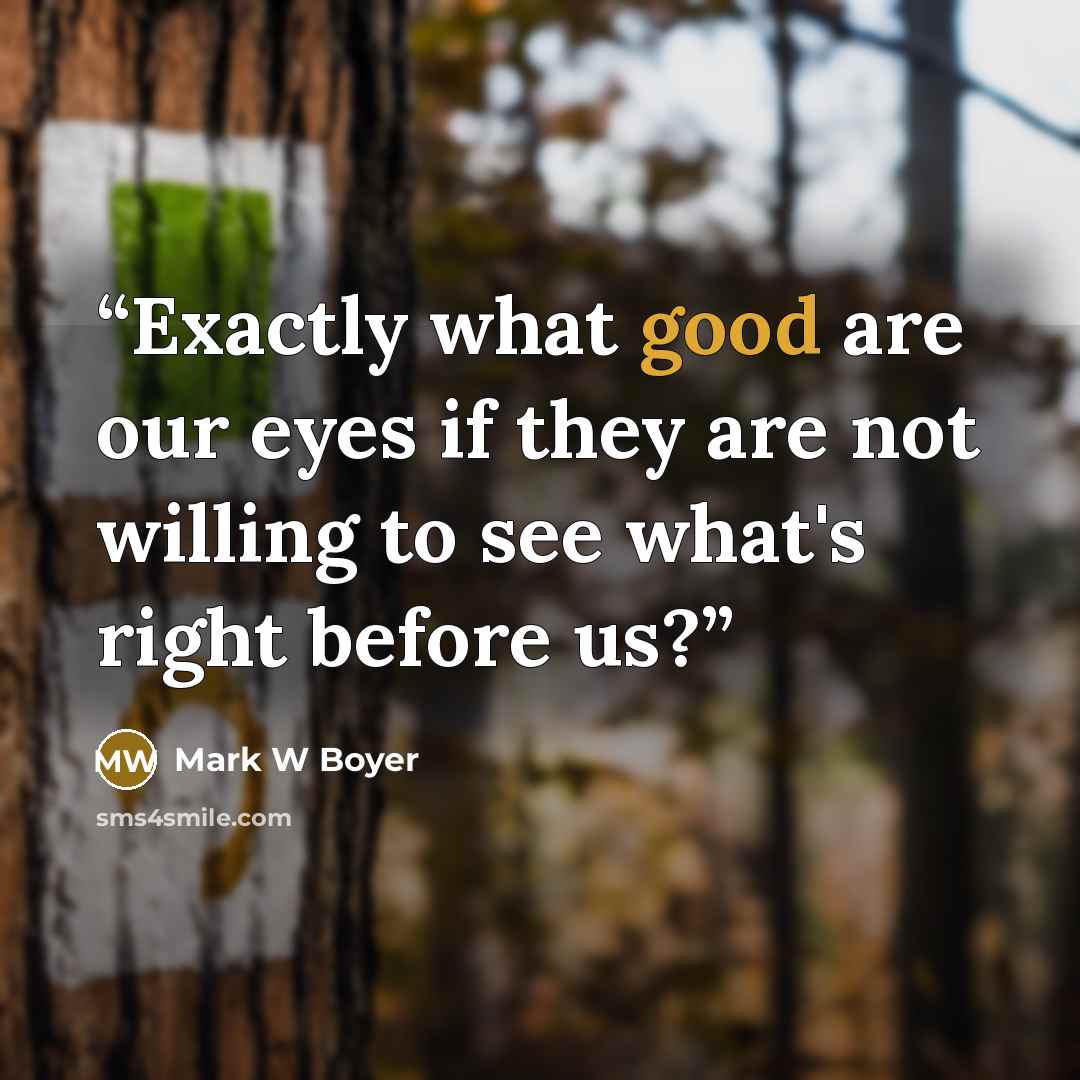 “Exactly what good are our eyes if they are not willing to see what's right before us?” quote by Mark W Boyer