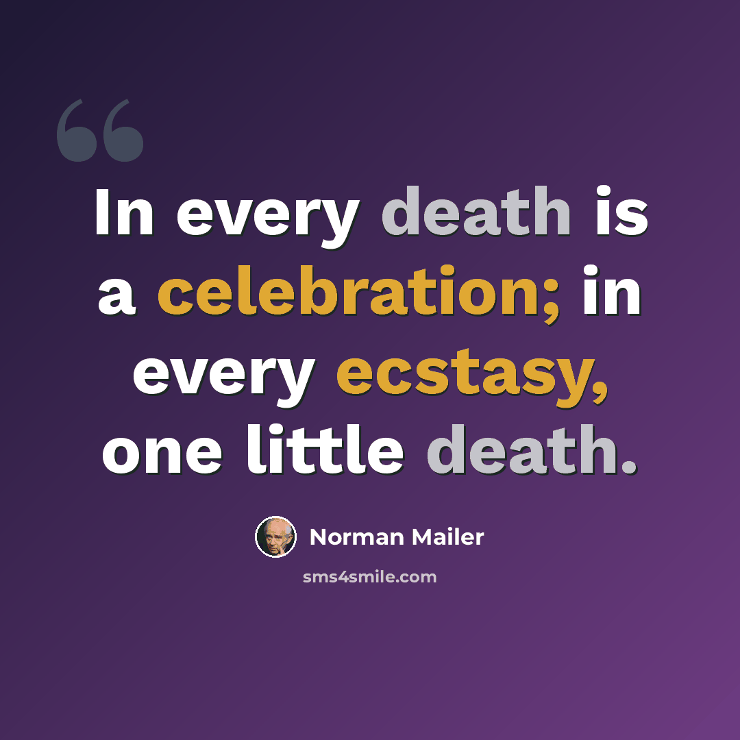 “In every death is a celebration; in every ecstasy, one little death.” quote by Norman Mailer