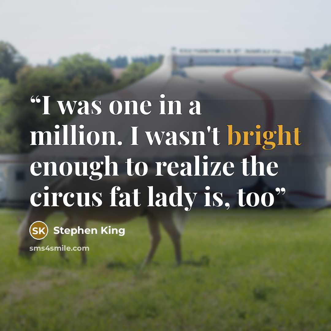 “I was one in a million. I wasn't bright enough to realize the circus fat lady is, too” quote by Stephen King