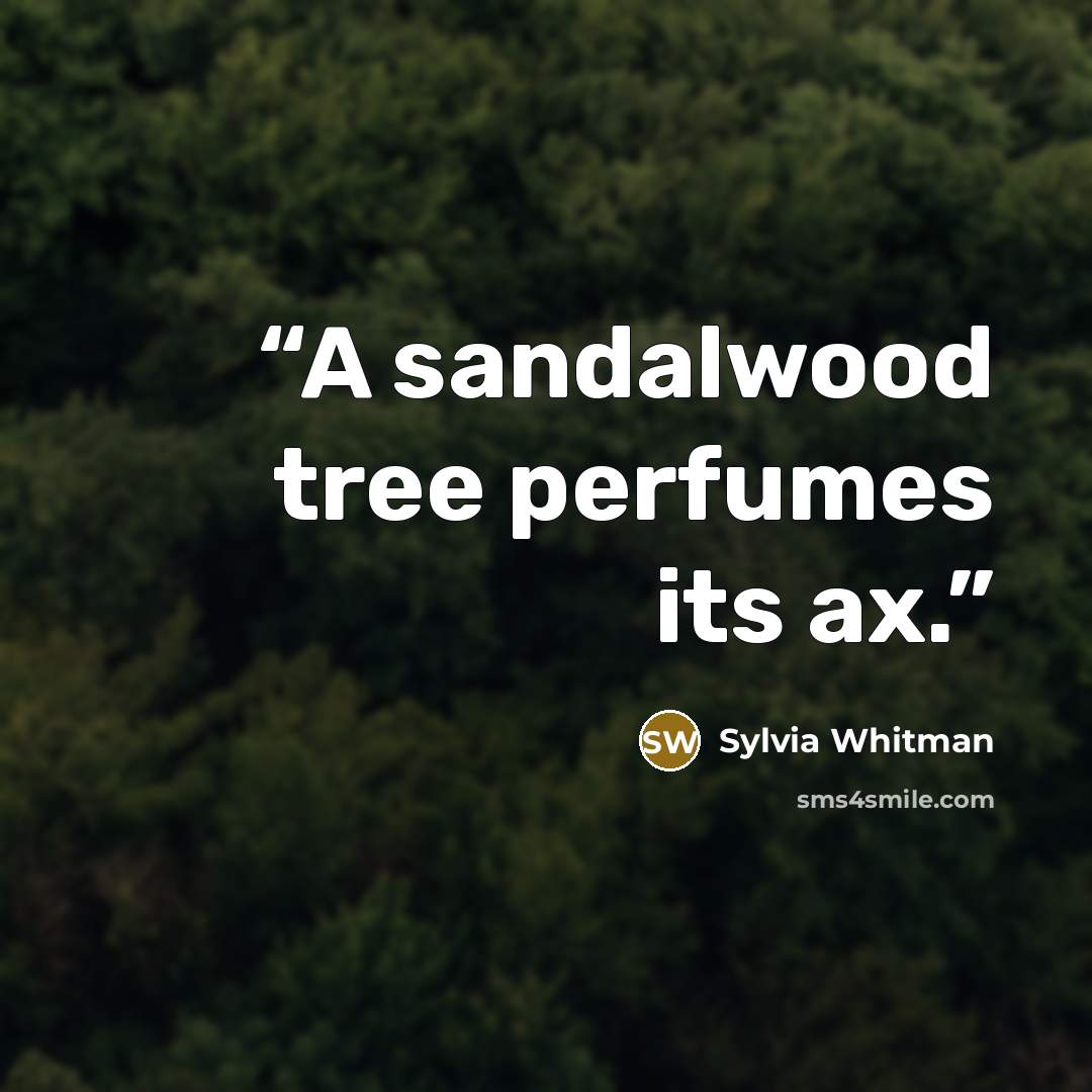 “A sandalwood tree perfumes its ax.” quote by Sylvia Whitman